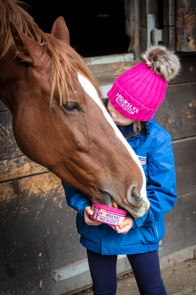 Horslyx Mini Spijsvertering 2