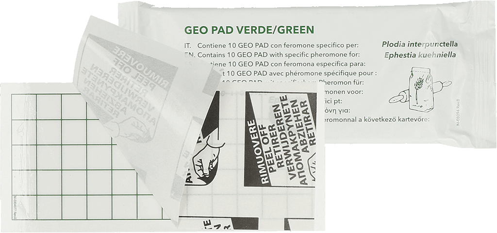 Geo Lijmplaat Levensmiddelenmot 