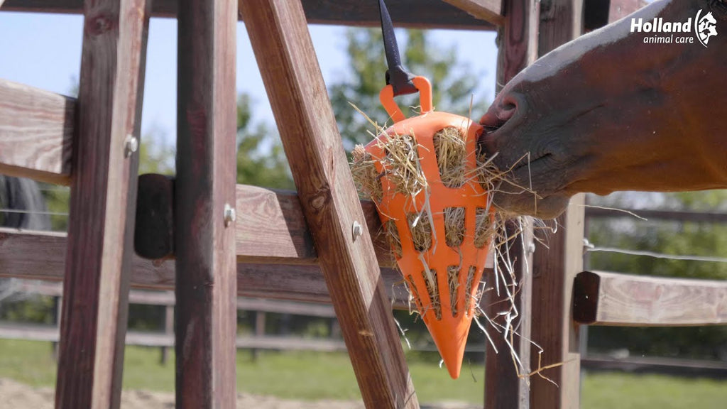 Hay Slow Feeder Fun & Flex Carrot Oranje 2