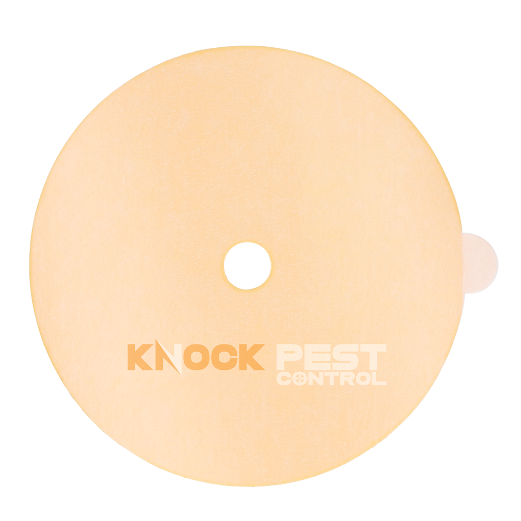 Knock Pest Lijmplaat voor Insectenval 