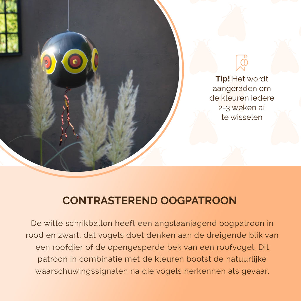 Knock Pest Schrikballon Zwart 5