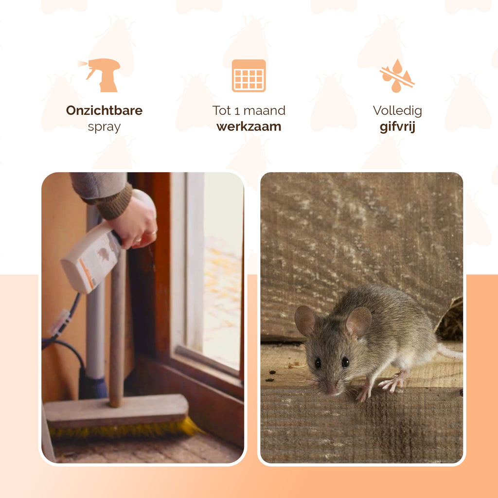 Knock Pest BlijfWeg Muis  3