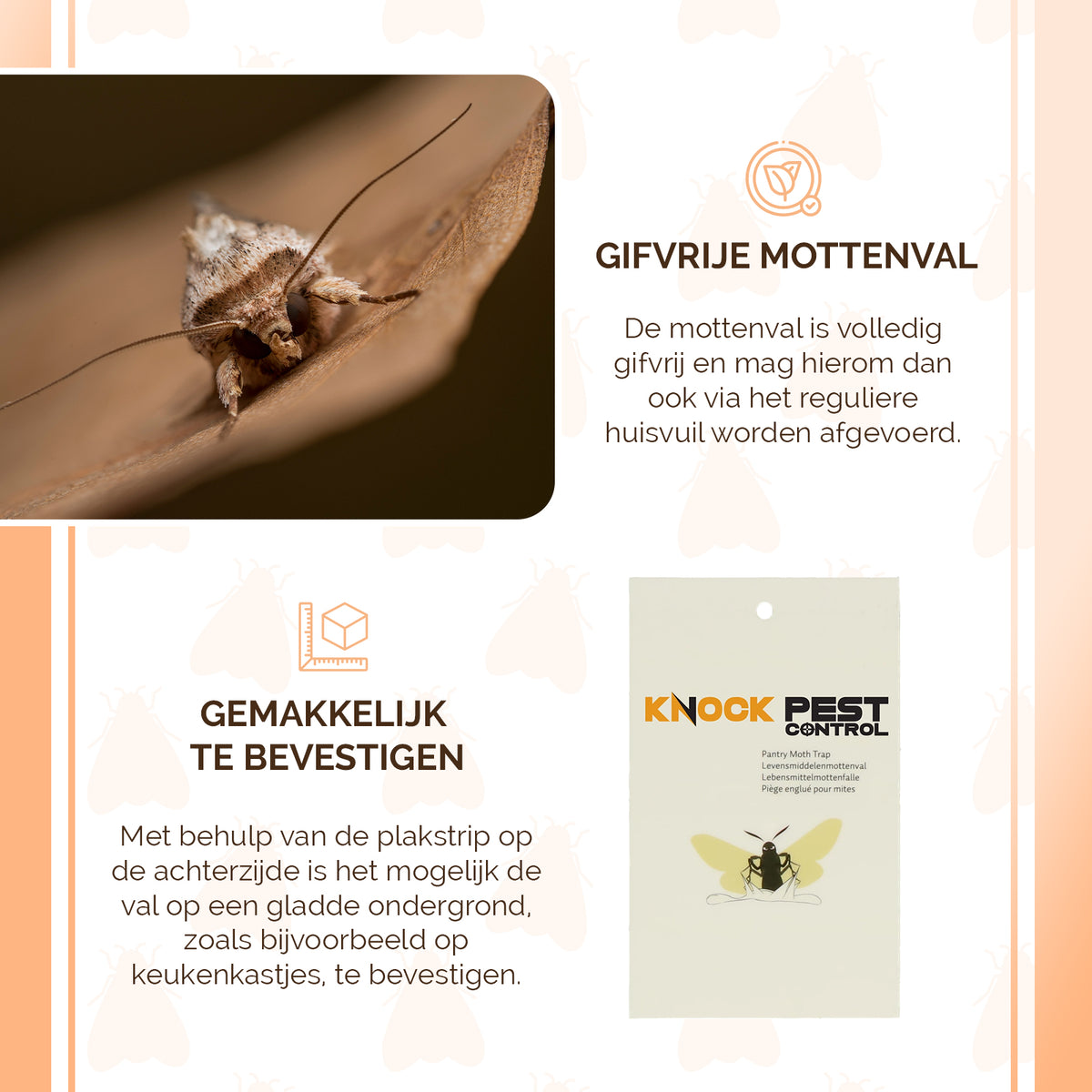 Knock Pest Levensmiddelenmottenval Vlak  6