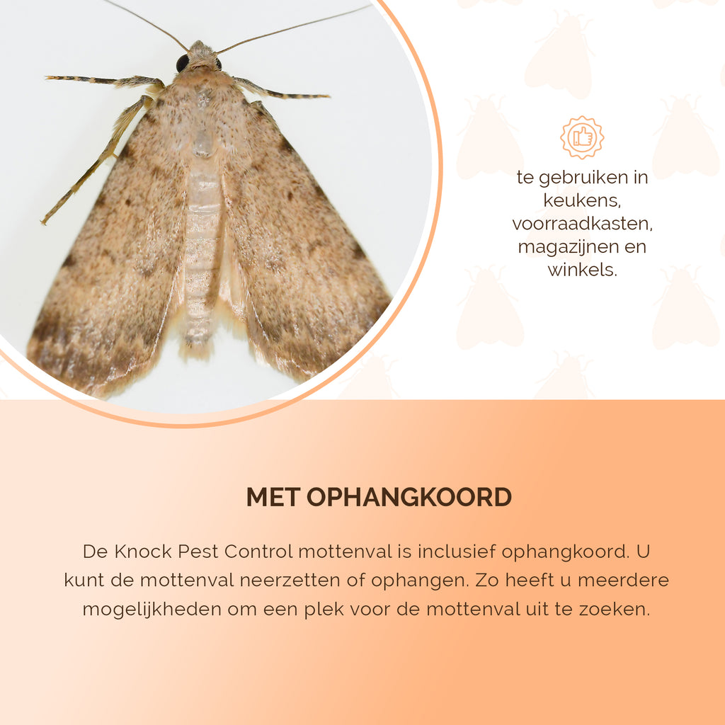 Knock Pest Mottenval  6