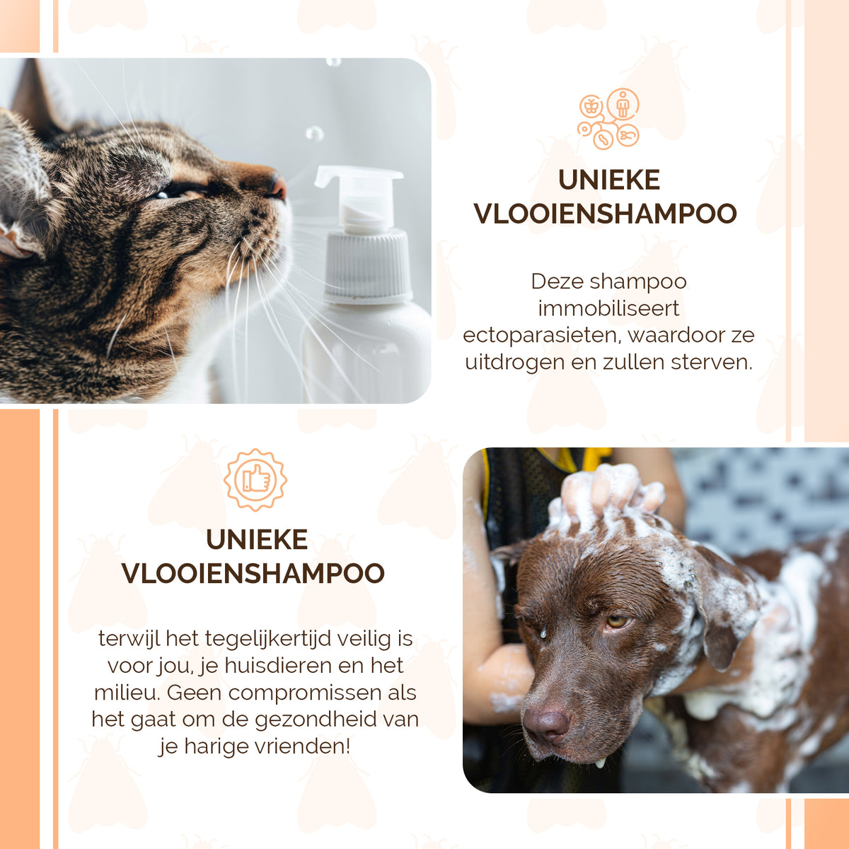 Knock Pest Vlooienshampoo 100 ml 4