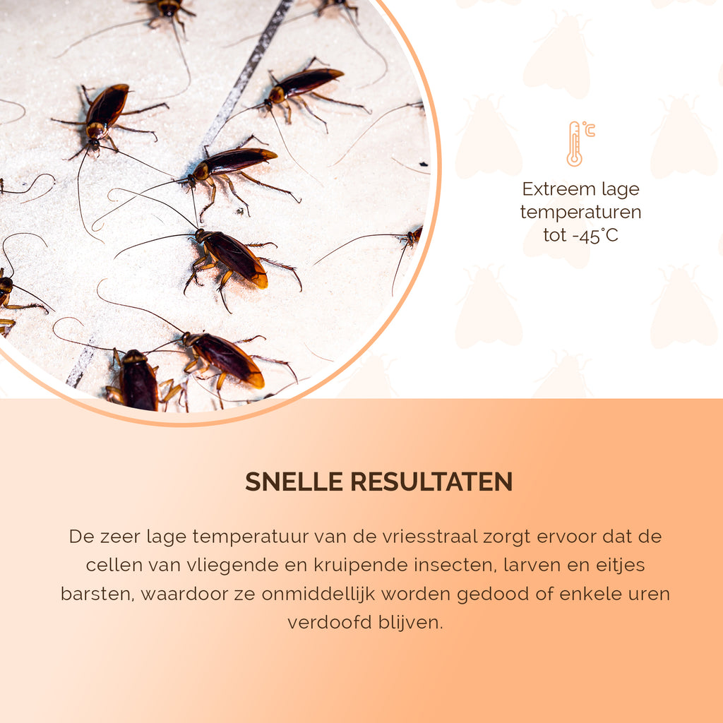 Knock Pest Freeze It  5