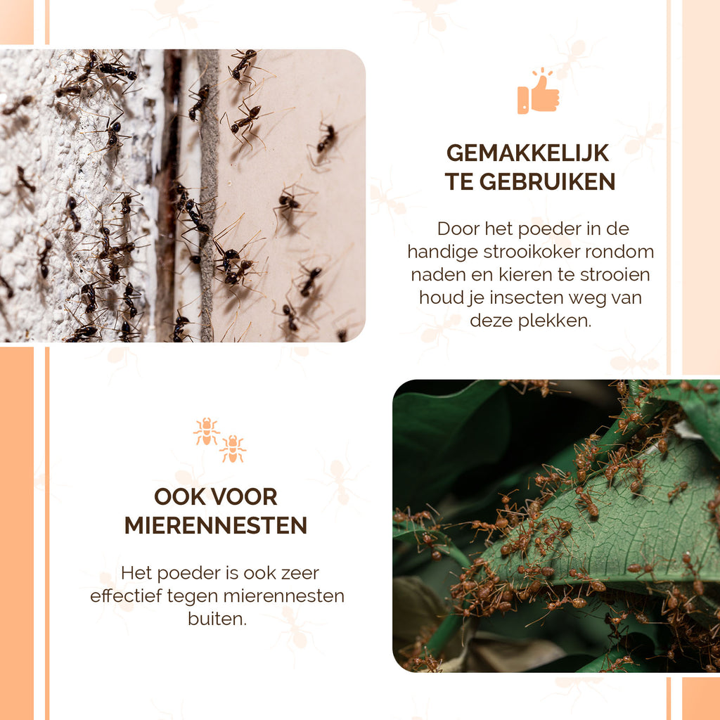 Knock Pest Insectenpoeder 250 g 6
