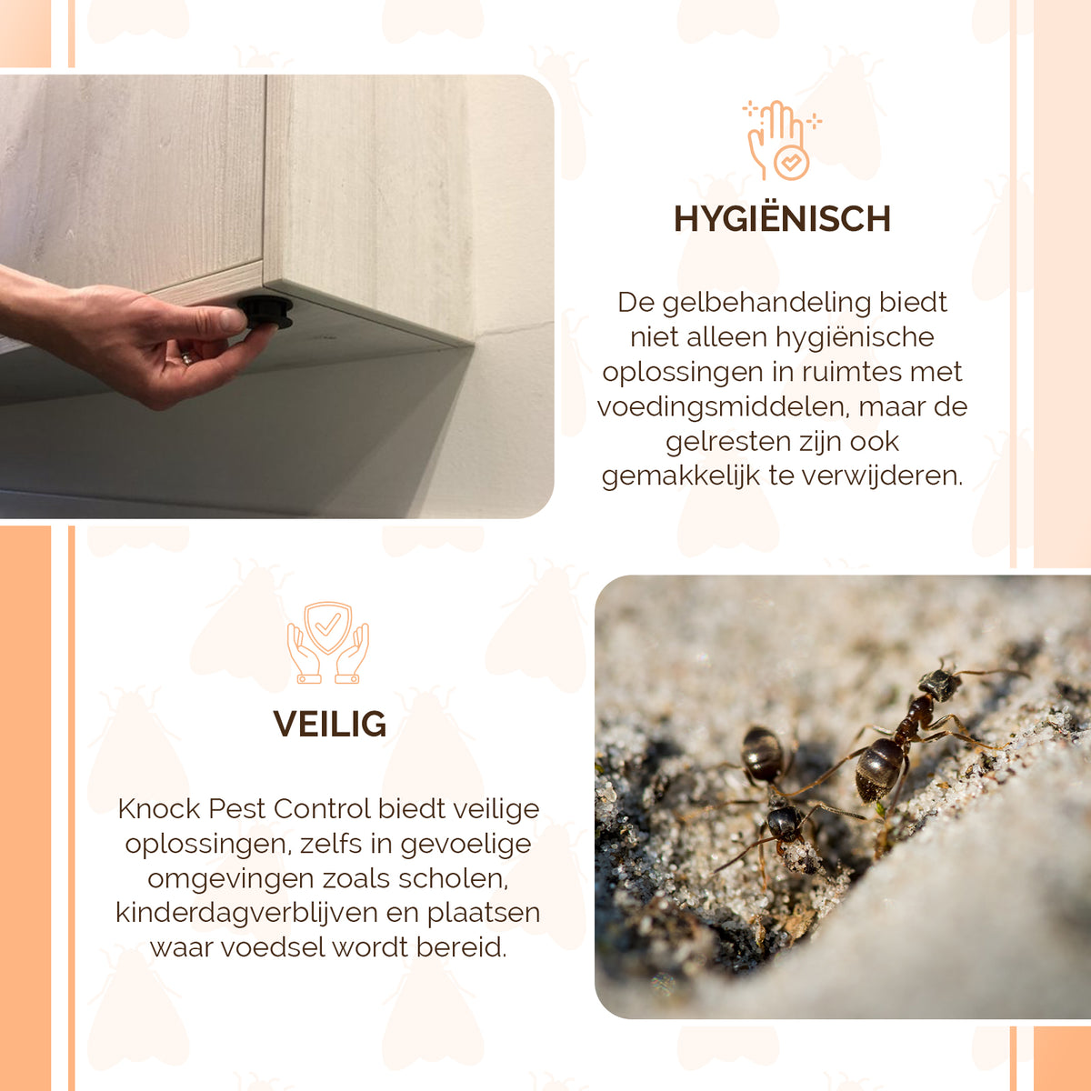 Knock Pest Gel Lokaasstation met plaksticker  4
