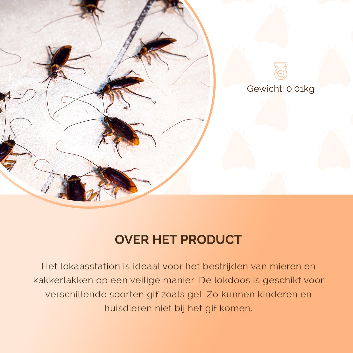 Knock Pest Gel Lokaasstation  5
