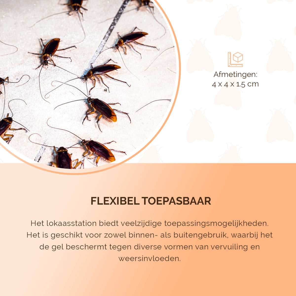 Knock Pest Gel Lokaasstation met plaksticker  5