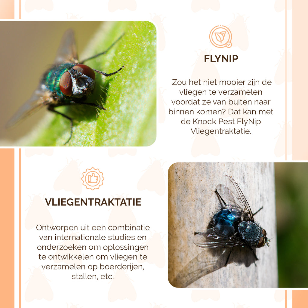Knock Pest FlyNip Vliegentraktatie  4