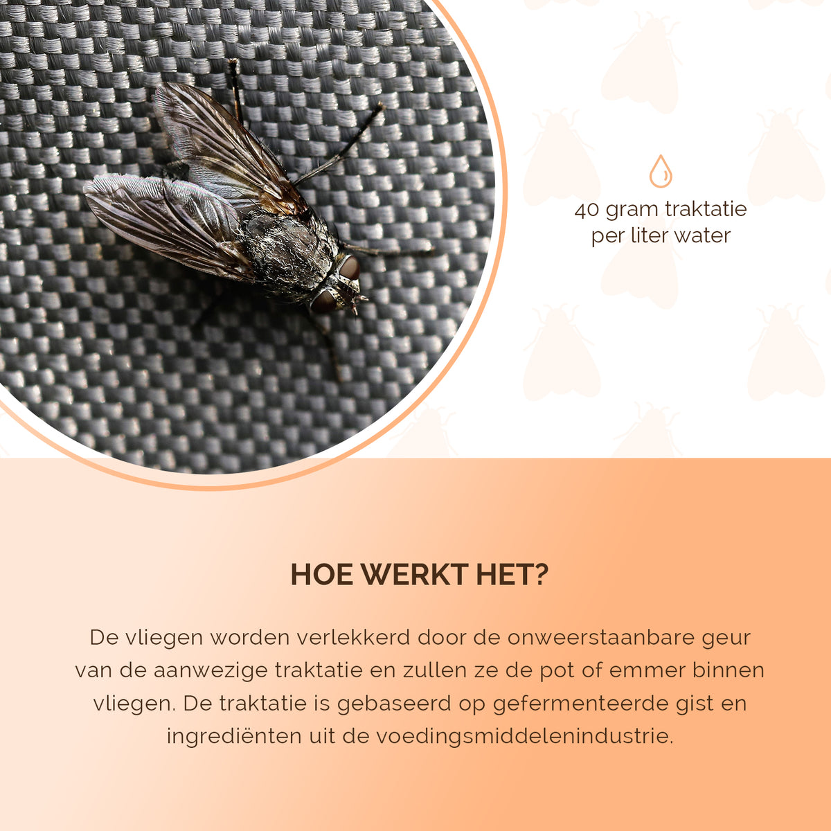 Knock Pest FlyNip Vliegentraktatie  5