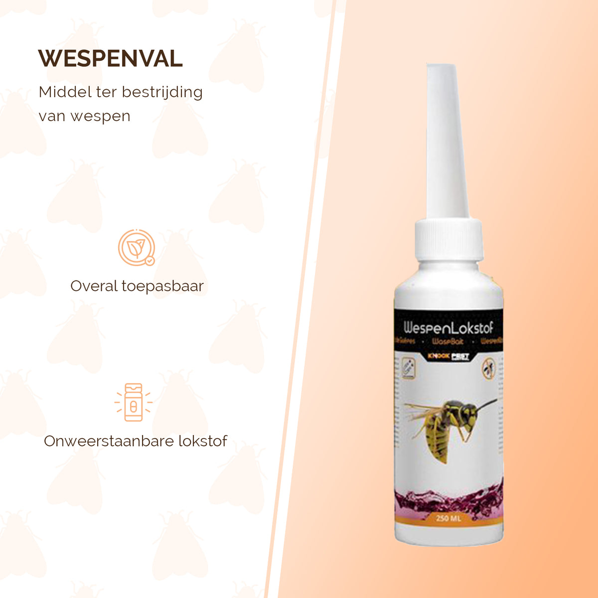 Knock Pest Wespenval  2