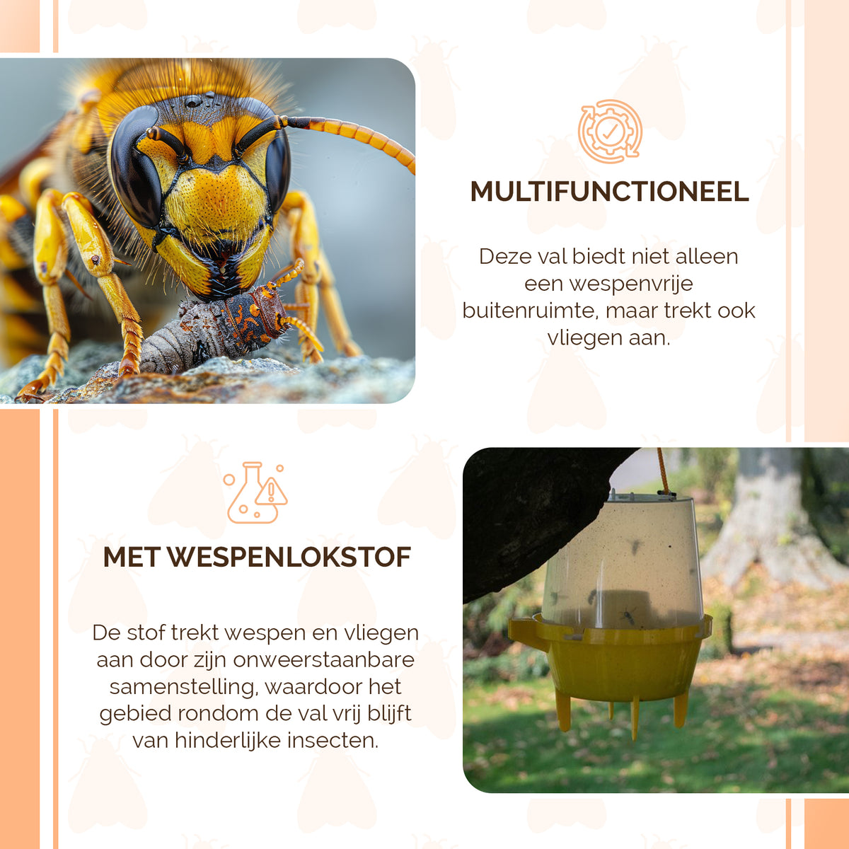 Knock Pest Wespenval  4
