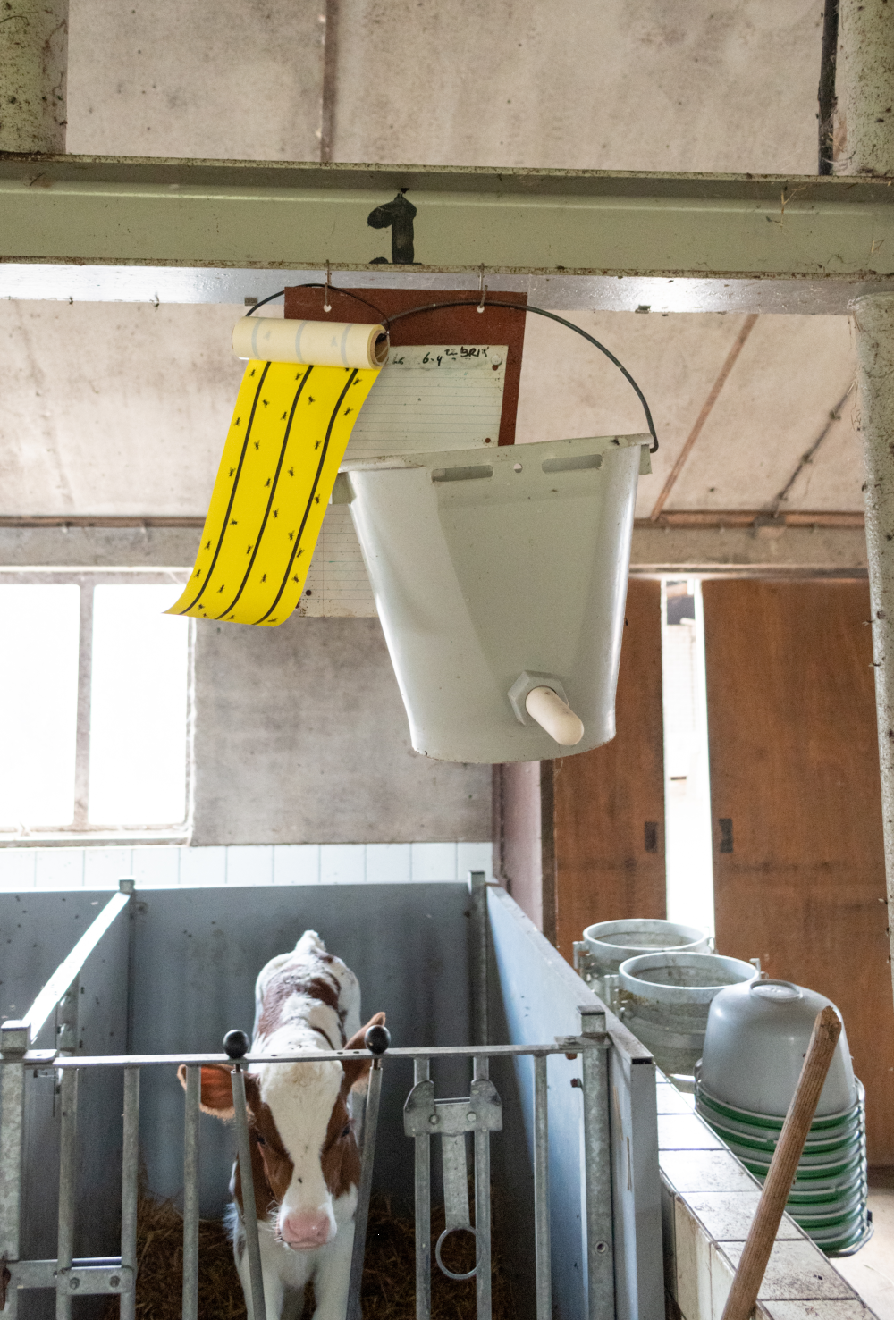 Knock Pest Vliegenkleefrol Geel 5 m 3