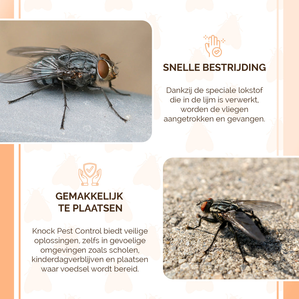 Knock Pest Raamval Voor Vliegen  3