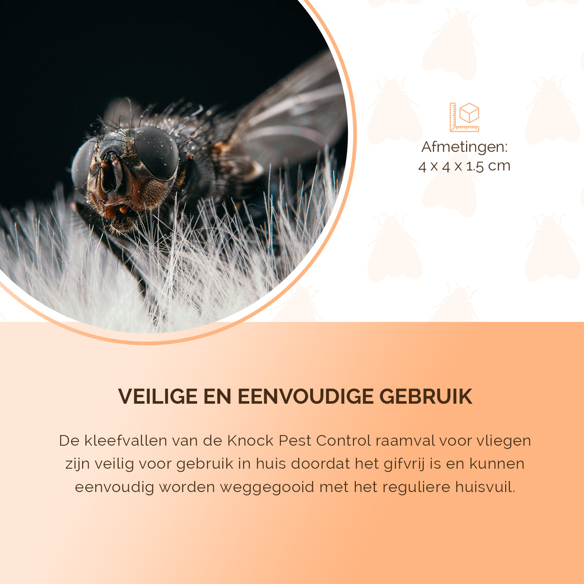 Knock Pest Raamval Voor Vliegen  4
