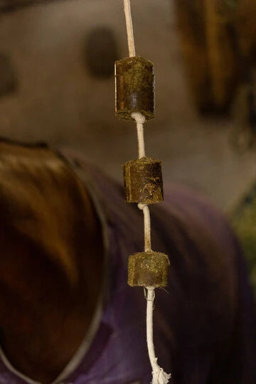 Lax Luzerne aan Speeltouw voor Paarden  6