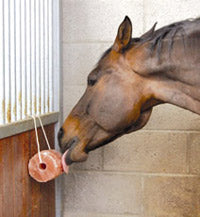Excellent Horse Salt Lick Himalaya 2-3 kg (Met touw) 2