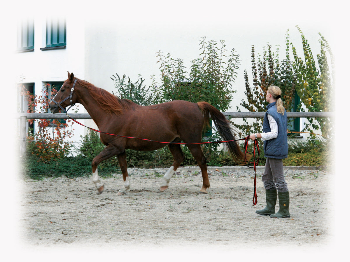 Longeerlijn zwart soft 8 meter Rood 2