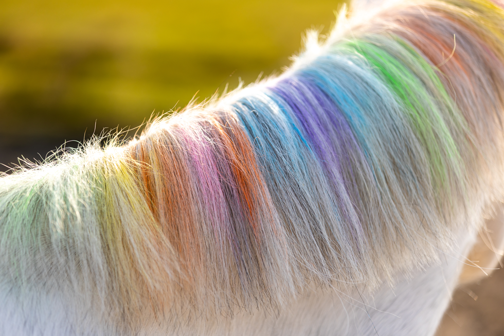 Lucky Horse Unicorn Regenboog Kleurkrijt  6