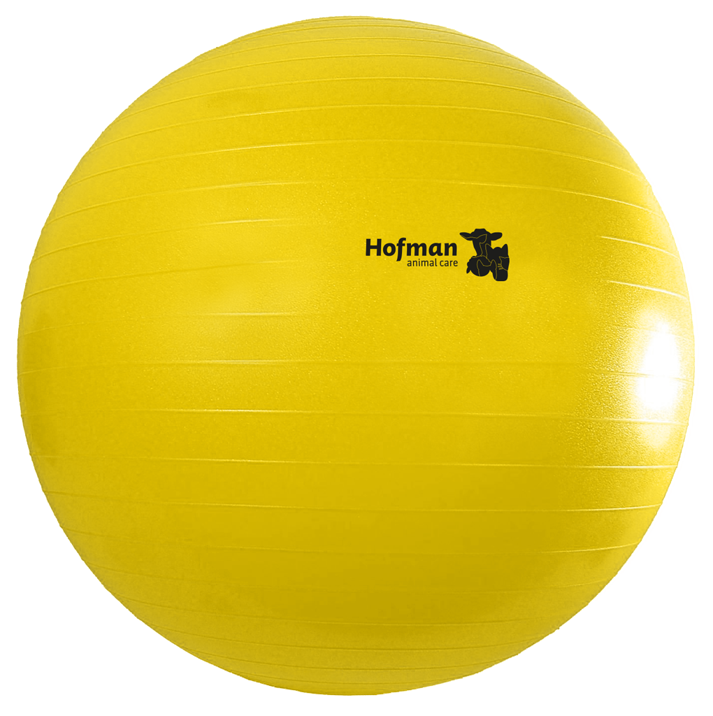 Maximus Power Play Ball 100 cm 2
