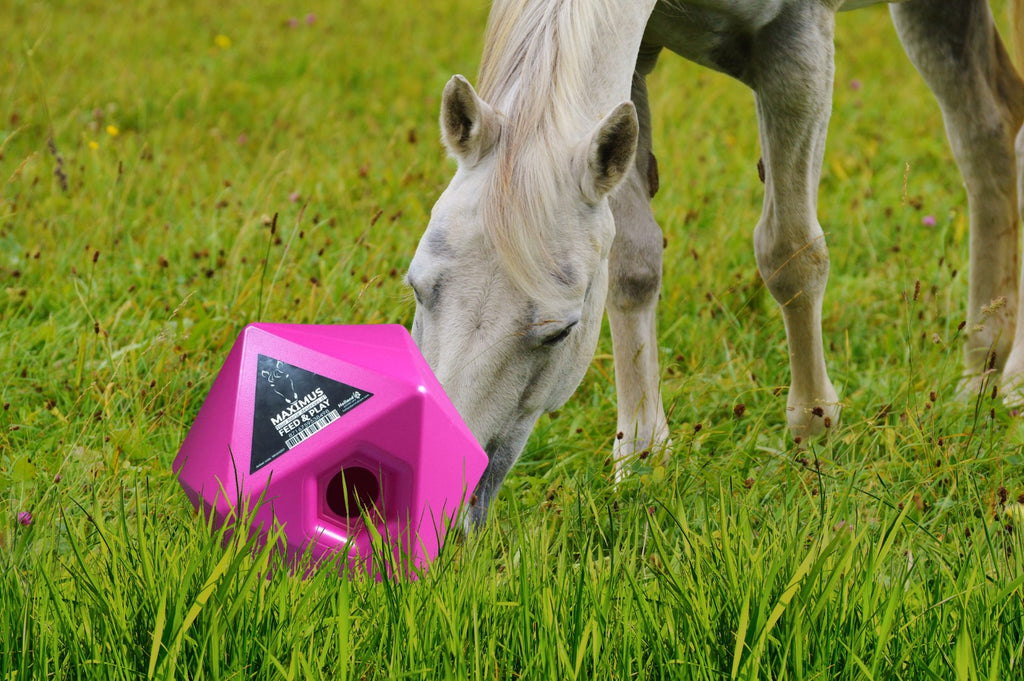 Maximus Feed & Play Roze 3
