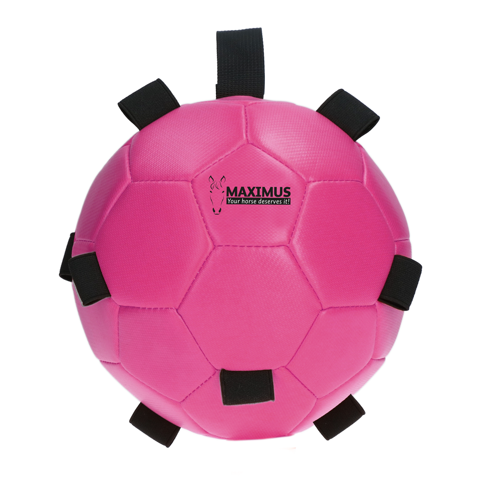 Excellent Horse Fun Play Ball Roze 2