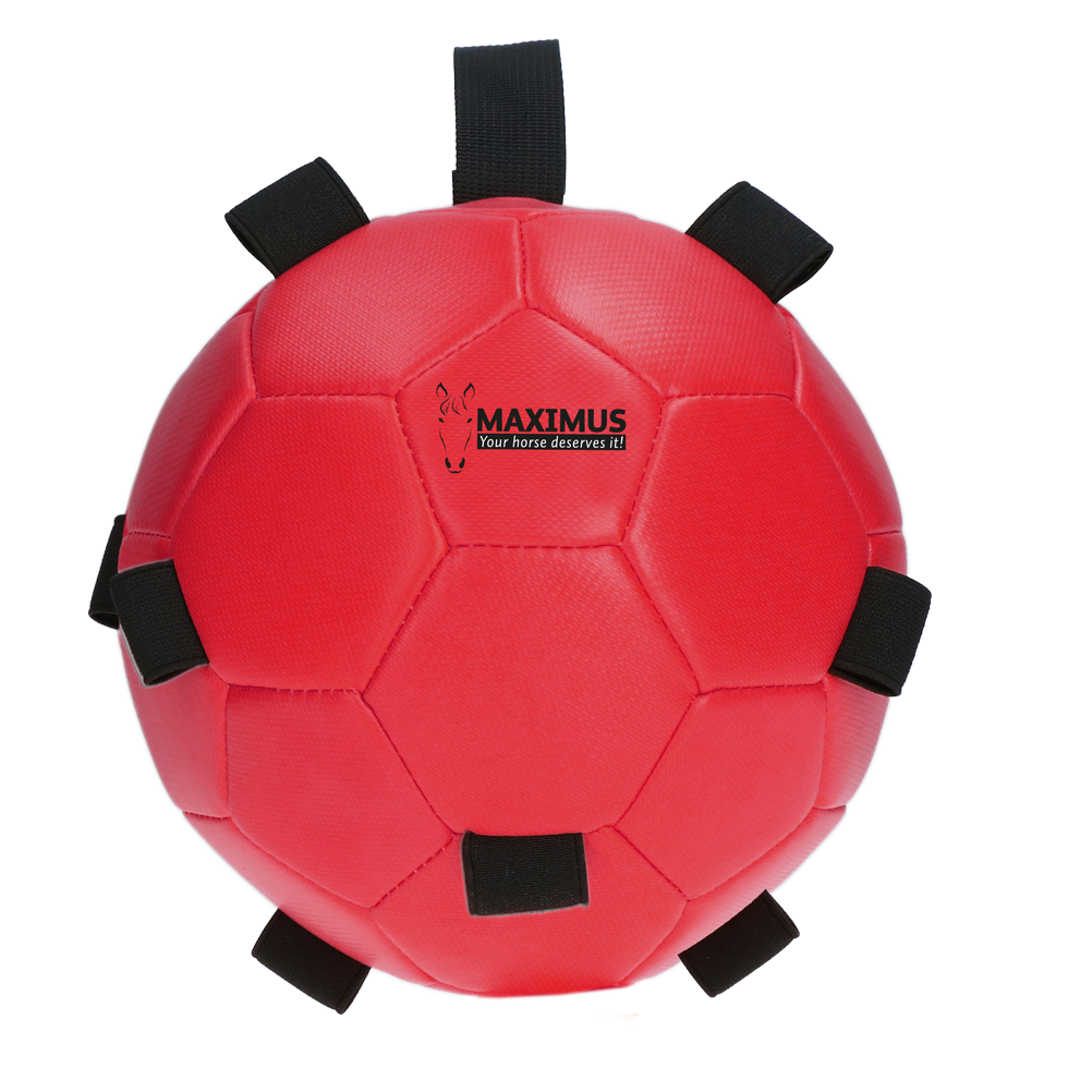 Excellent Horse Fun Play Ball Rood 2