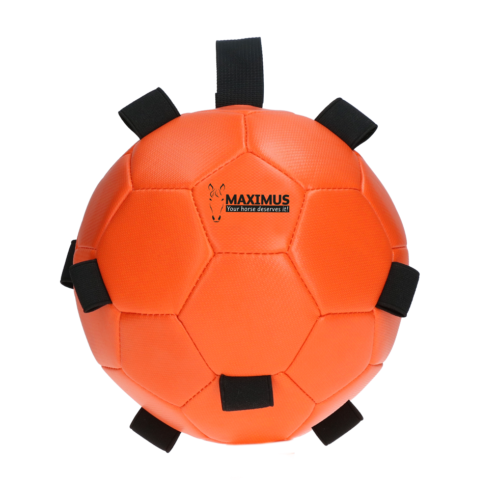 Excellent Horse Fun Play Ball Oranje 2