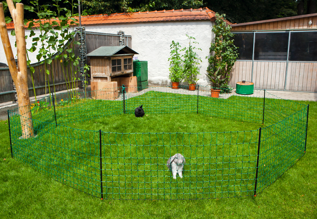 Net afrast konijn 65 cm, enkelpunt 12 m.  3