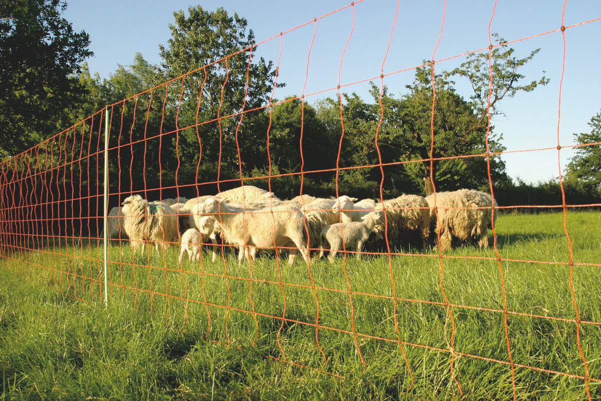 Euro-Netz Combi 106 cm dubbelpunt  2