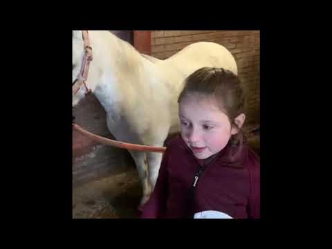 Lucky Horse Unicorn Shine Spray  2