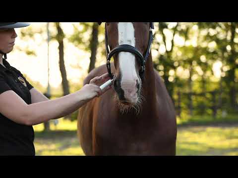 Excellent Horse Vitasporal 12 ml 4