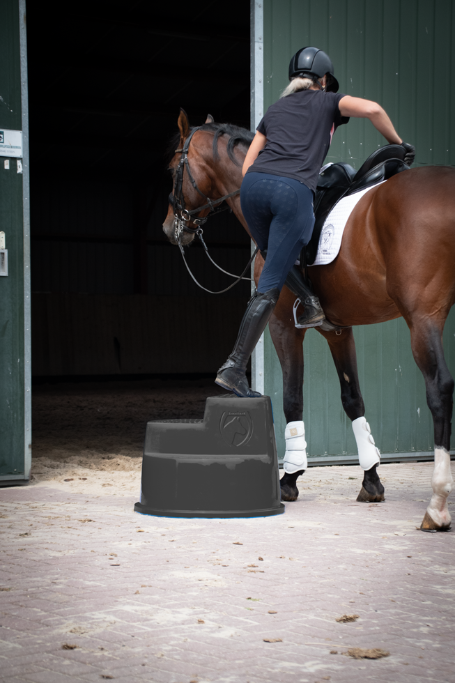 Excellent Horse Opstaphulp 3 Treden Zwart 4