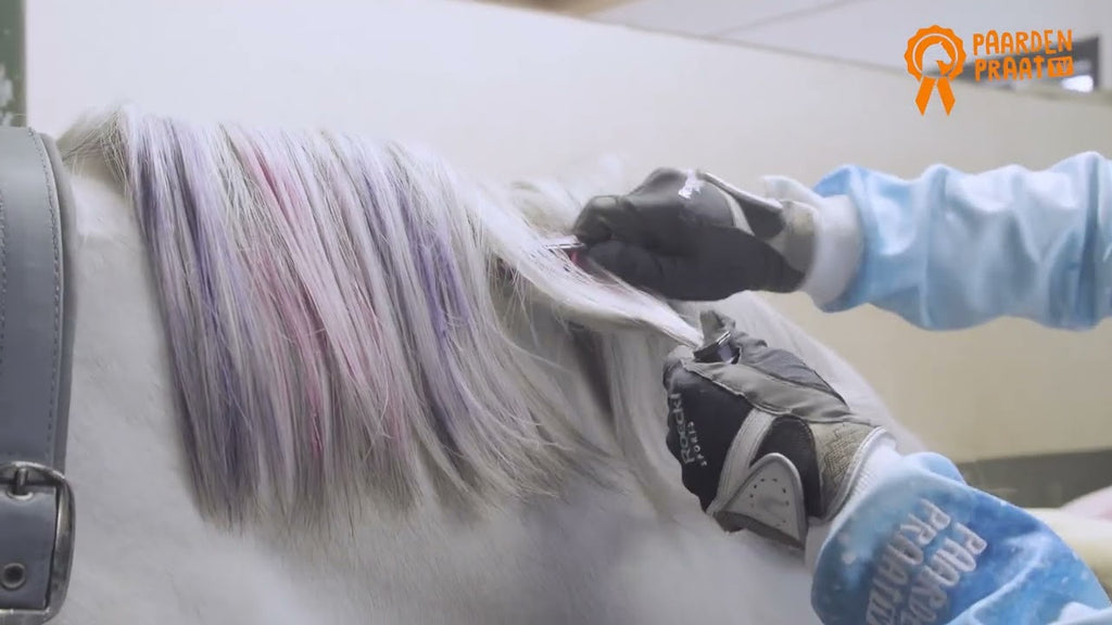 Paardenpraat Regenboog Kleurkrijt  2