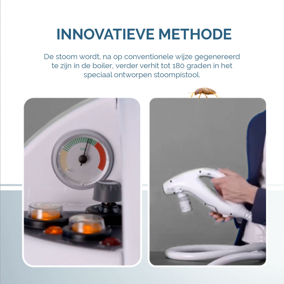 Polti Cimex Eradicator 3