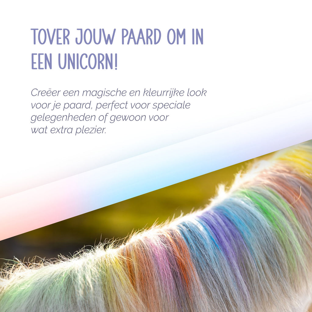 Paardenpraat Regenboog Kleurkrijt  6