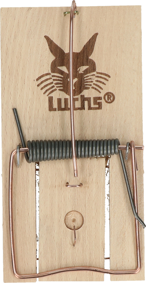 Luchs Rattenklem  2