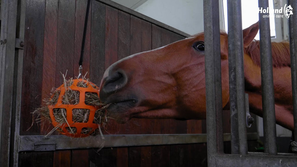 Hay Slow Feeder Fun & Flex Roze 3