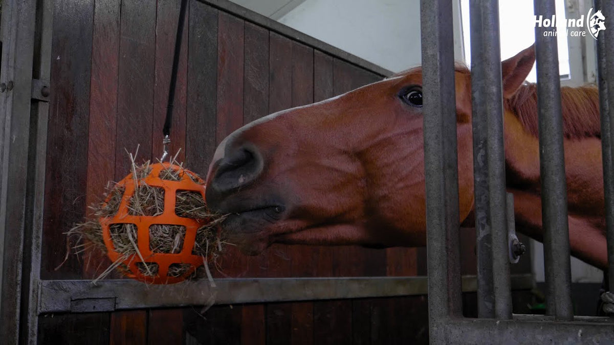 Hay Slow Feeder Fun & Flex Roze 3