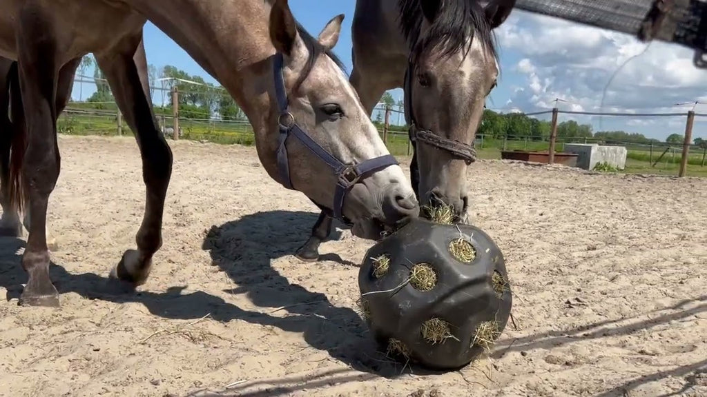 Excellent Horse Feed & Play Ball Blauw 2
