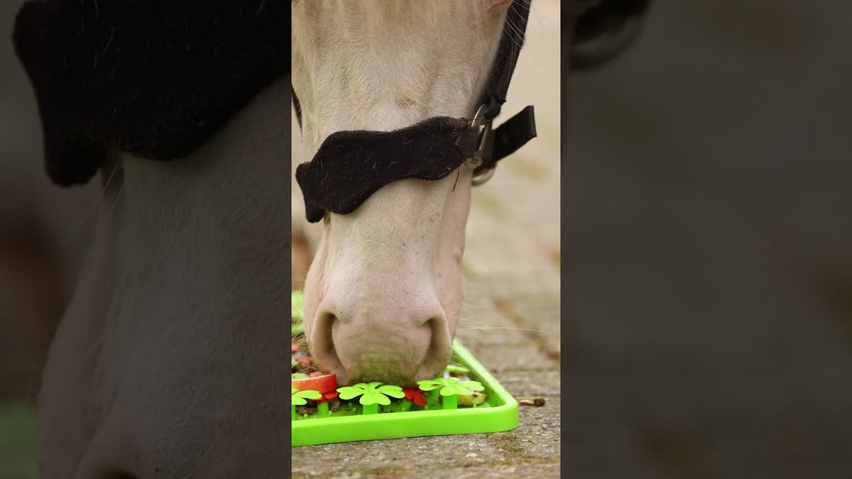 Excellent Horse Snuffle Mat  3