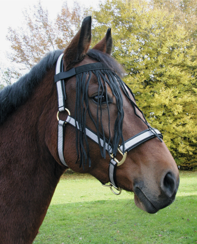 Vliegenfrontriem Paard maat: Full Pony 2