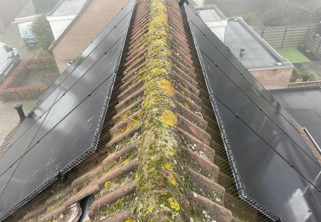 Vogelpinnen Zonnepanelen 50 cm Transparant 2