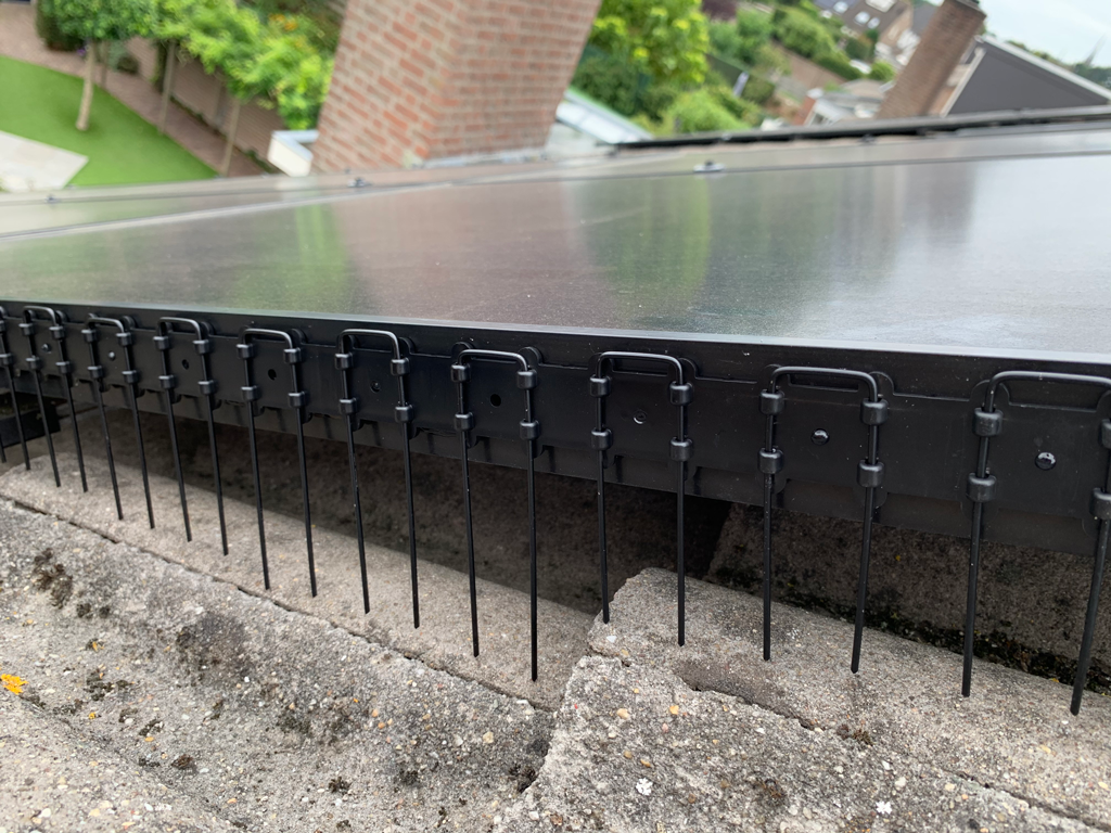 Vogelpinnen Zonnepanelen 50 cm Transparant 4