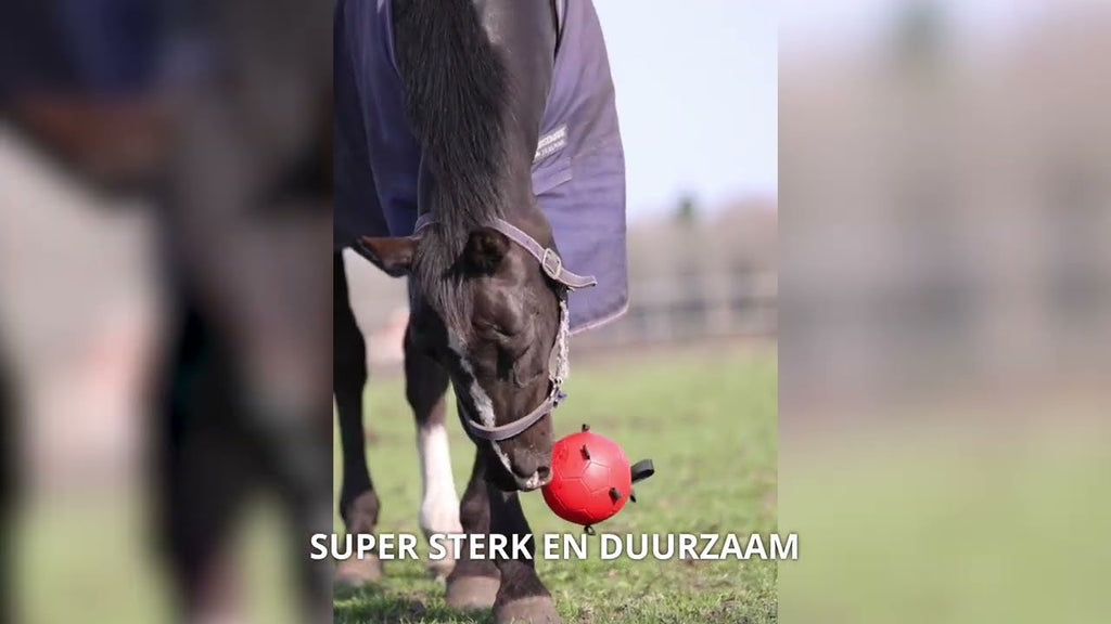 Excellent Horse Fun Play Ball Blauw 3