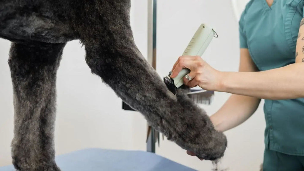 Wahl KMC+ Snoer/Snoerloze Trimmer  3