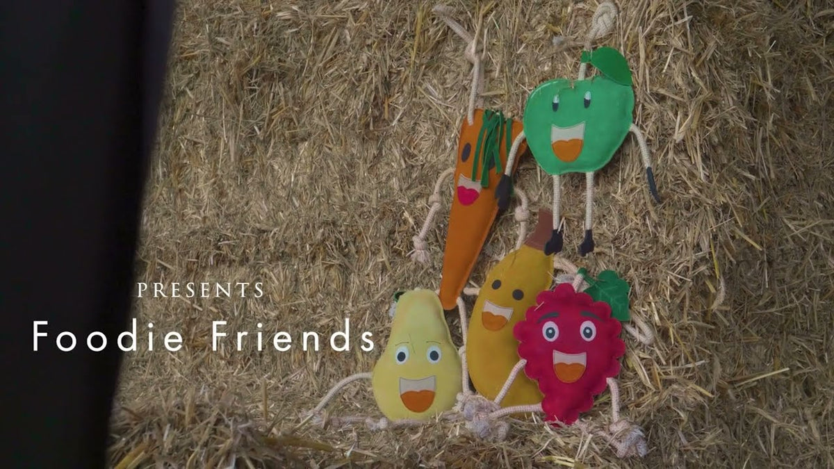 Excellent Horse Foodie Friends Watermelon 2