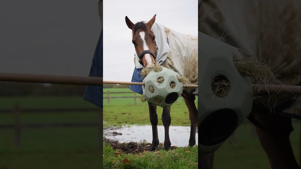 Excellent Horse Feed & Play Ball Blauw 3